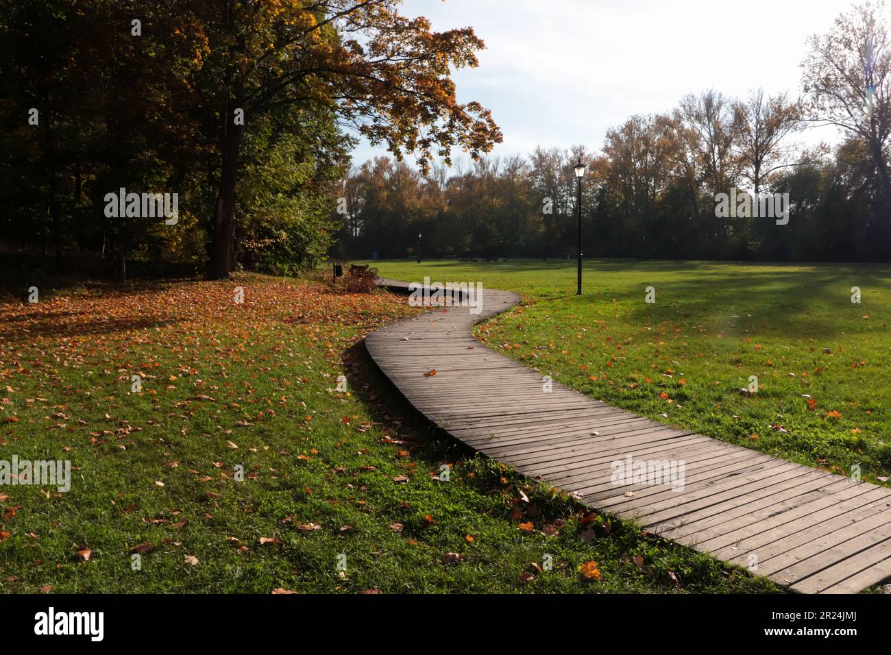 Picturesque view of park with beautiful trees and pathway on sunny day ...
