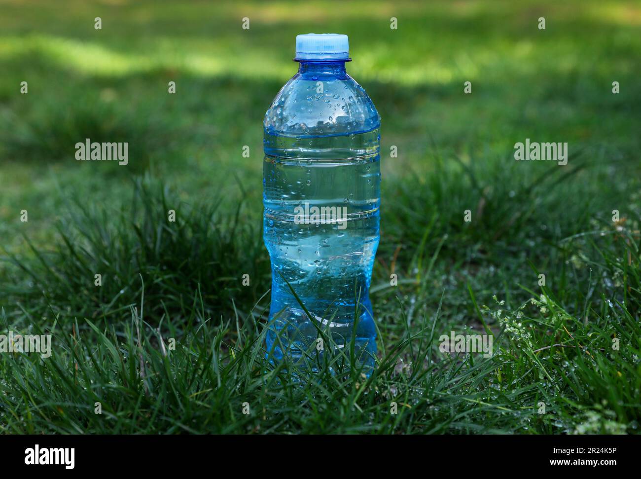 Plastic bottle of water on green grass outdoors Stock Photo - Alamy