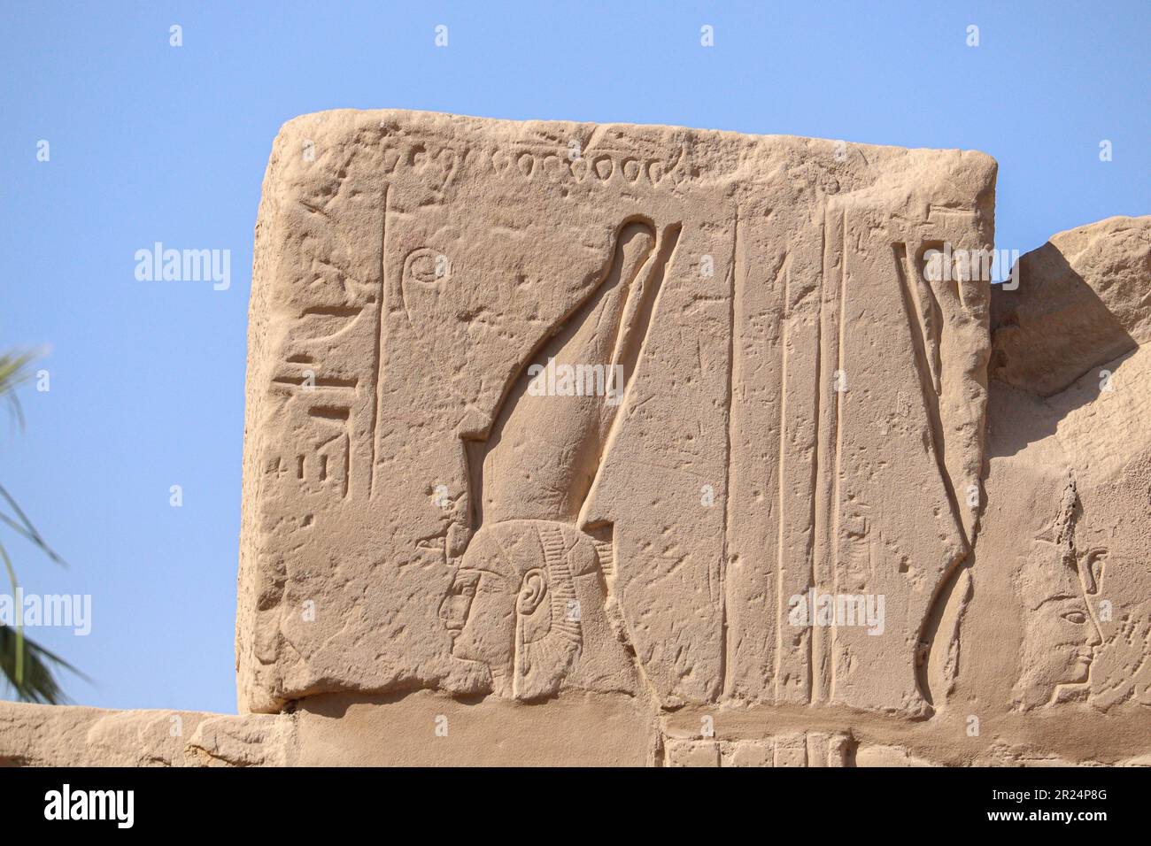 Ancient egyptian hieroglyphs carved on walls of Karnak temple in Luxor ...