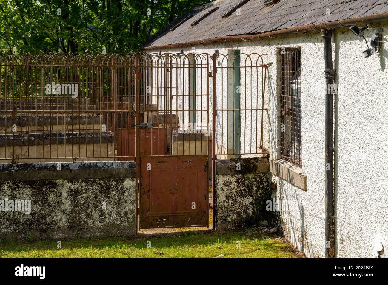 16 May 2023. Boat O' Brig,Orton,Moray,Scotland. This is a row of Gundog