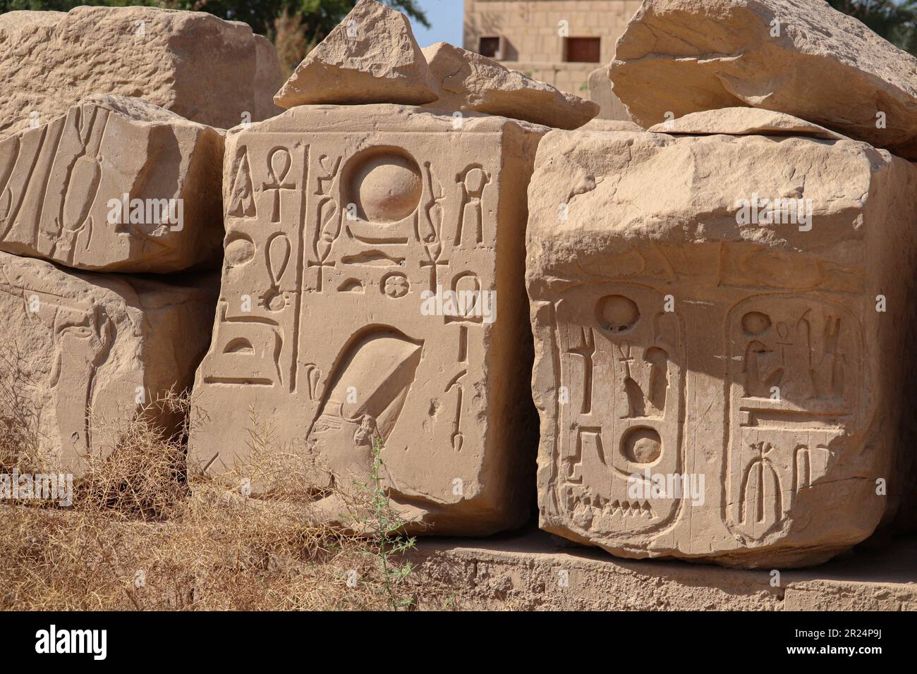 Ancient egyptian hieroglyphs carved on walls of Karnak temple in Luxor ...