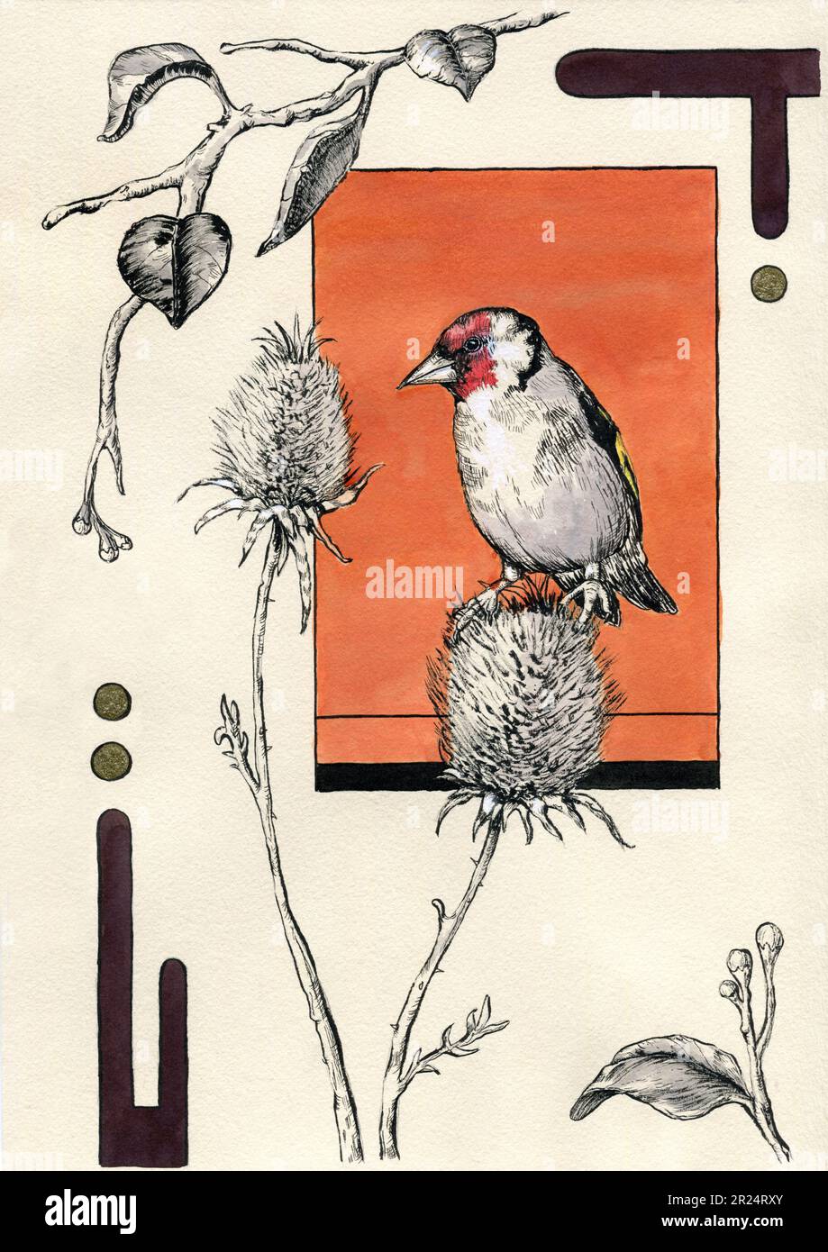 Goldfinch on a thistle flower. Traditional ink illustration on paper. Stock Photo