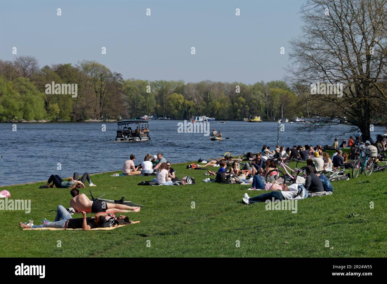 Frühling in Berlin, Liegewiese im Treptower Park am Spreeufer, Treptow-Köpenik , Berlin Stock Photo