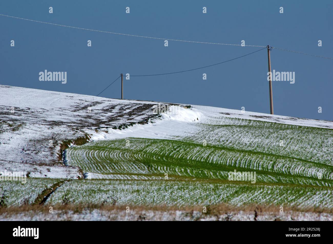 Linea di campo hi-res stock photography and images - Alamy