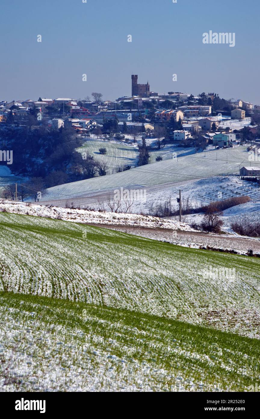 campo di grano novello nella neve Stock Photo