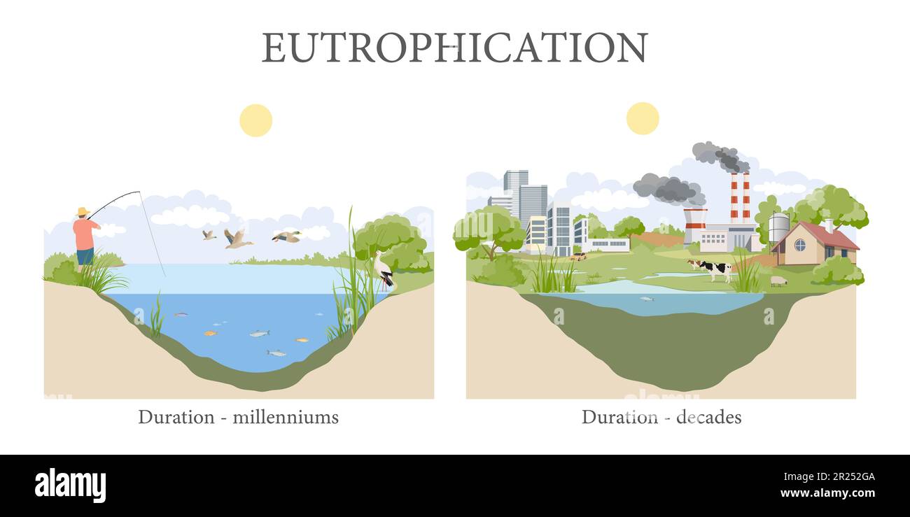 Water eutrophication and its effects Stock Photo