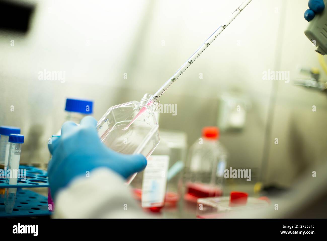 cell culture media Stock Photo Alamy