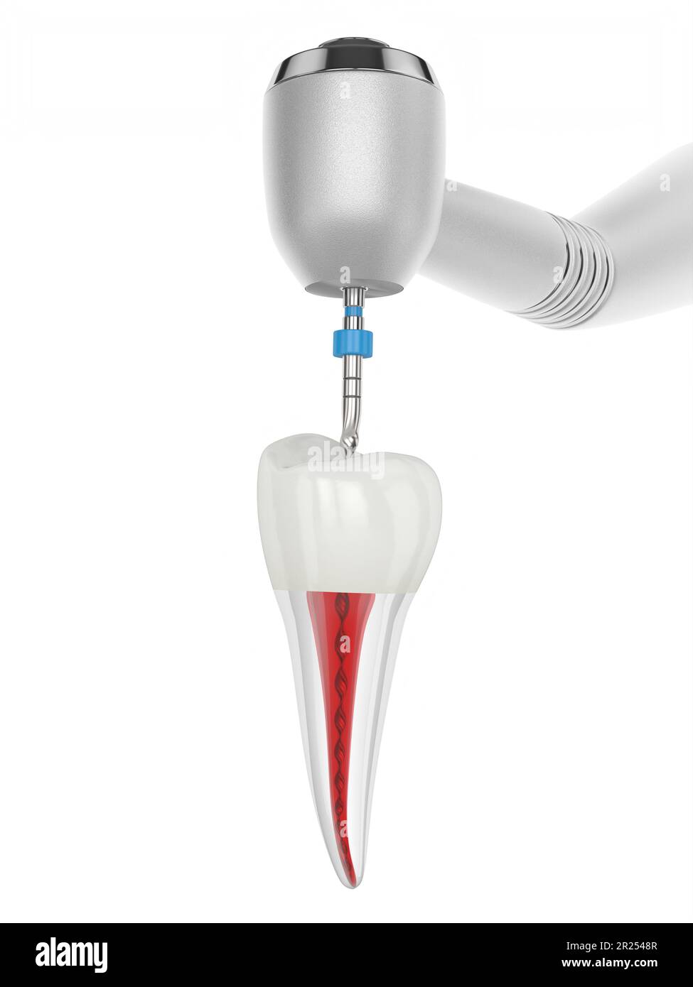3d render of premolar tooth with handpiece and endodontic rotary file