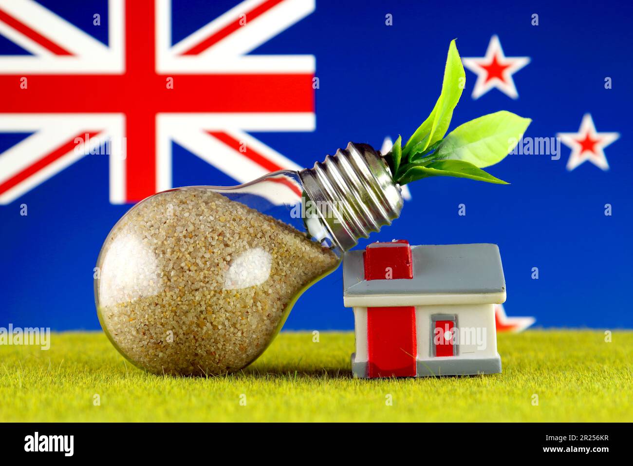 Plant growing inside the light bulb, miniature house on the grass and