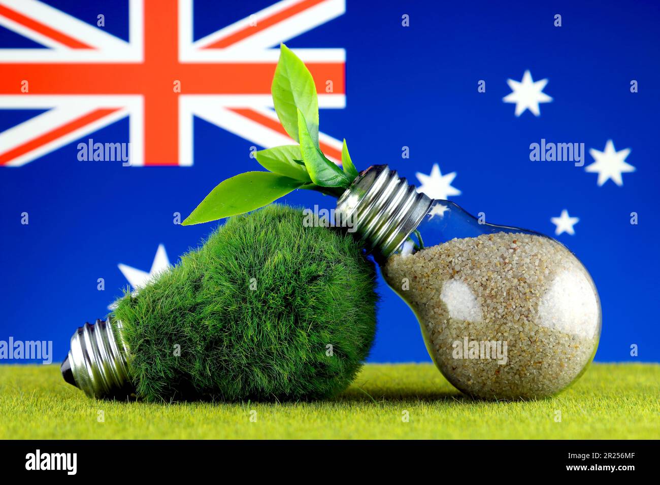 Green eco light bulb with grass, plant growing inside the light bulb