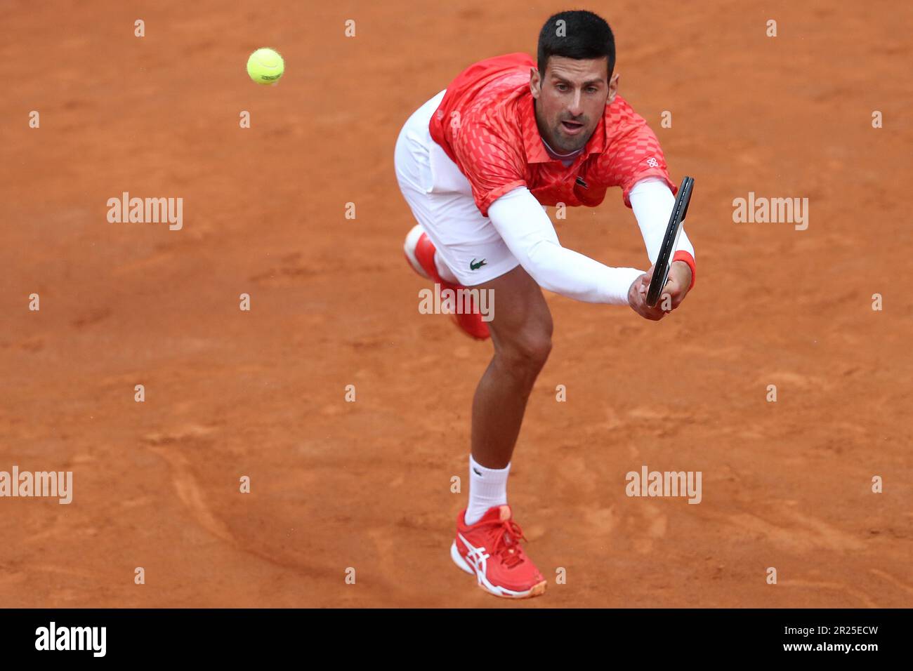 Italian Open: the future of the Foro Italico foresees a restyling