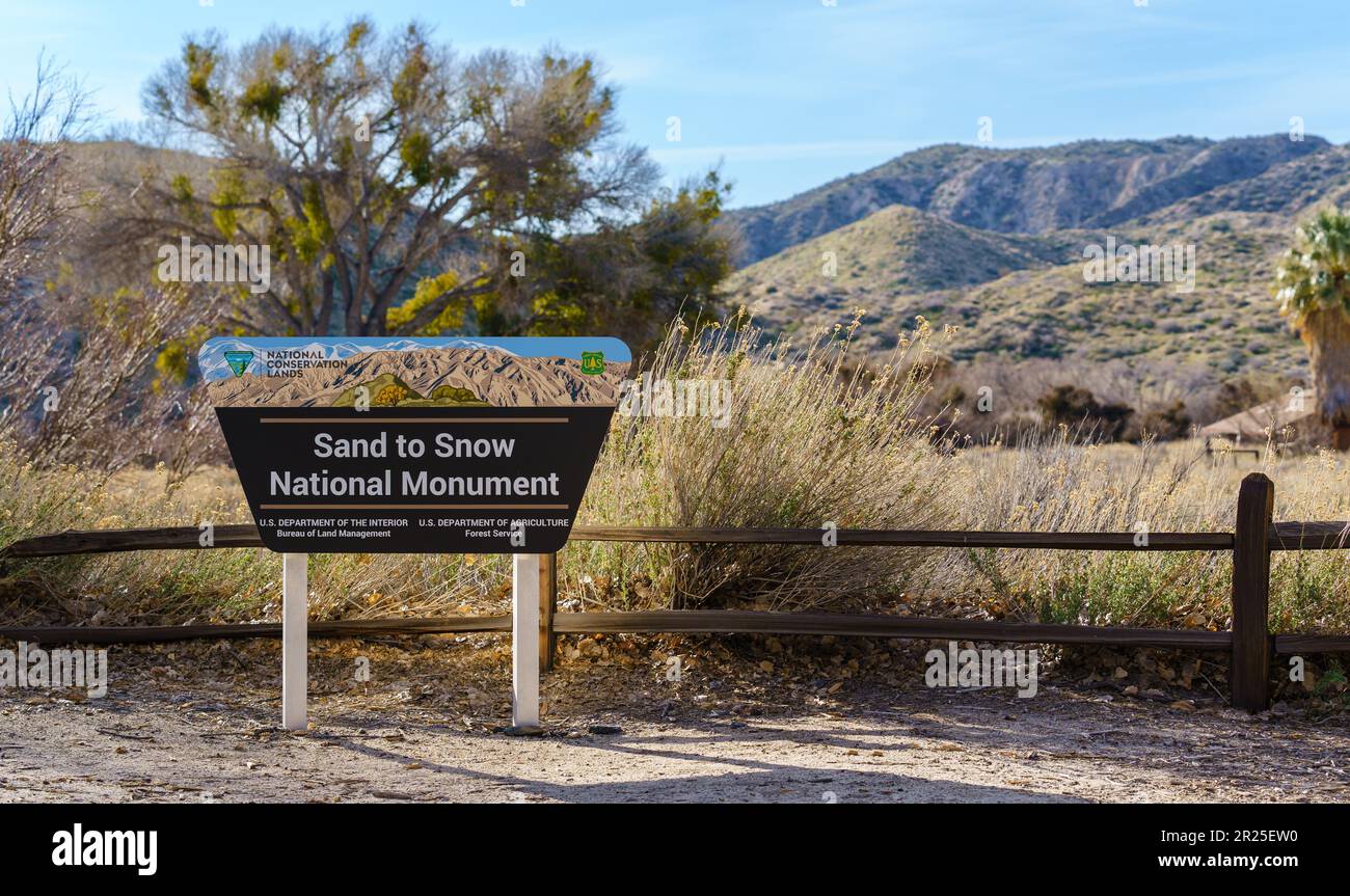Morongo Valley, California February 4, 2023 Sand to Snow National