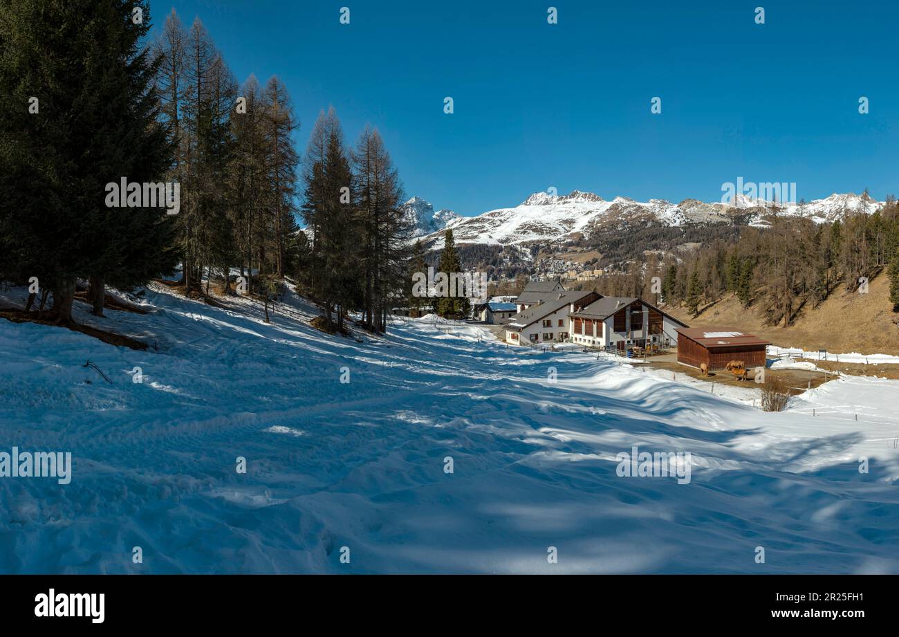 Landgasthof Meierei, farmhouse *** Local Caption *** Sankt Moritz ...