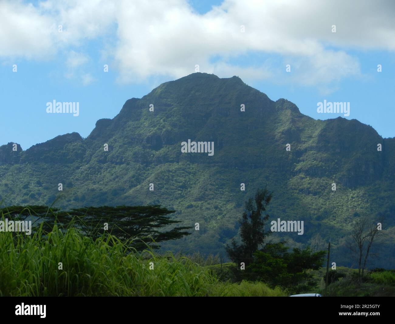 Mountain range in Kauai Hawaii that looks like a sleeping giant on a partly cloudy day with grass and trees in the foreground. Stock Photo