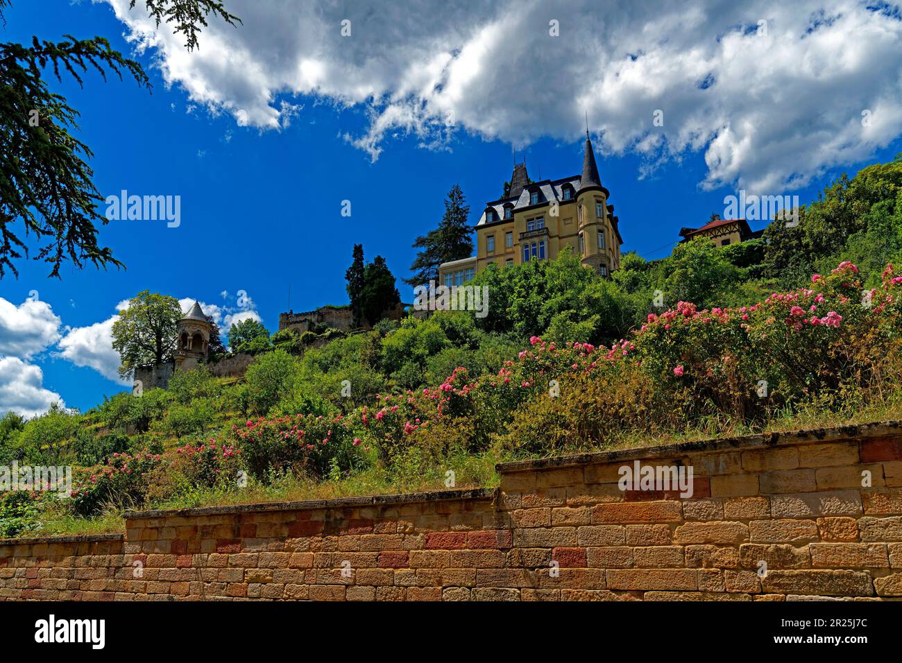 burg winzina und haardter schlössel