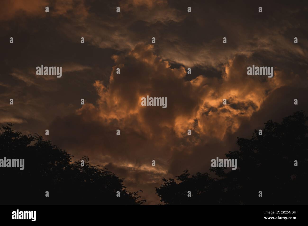 Dramatic sunset sky with dark silhouettes of trees and clouds Stock ...