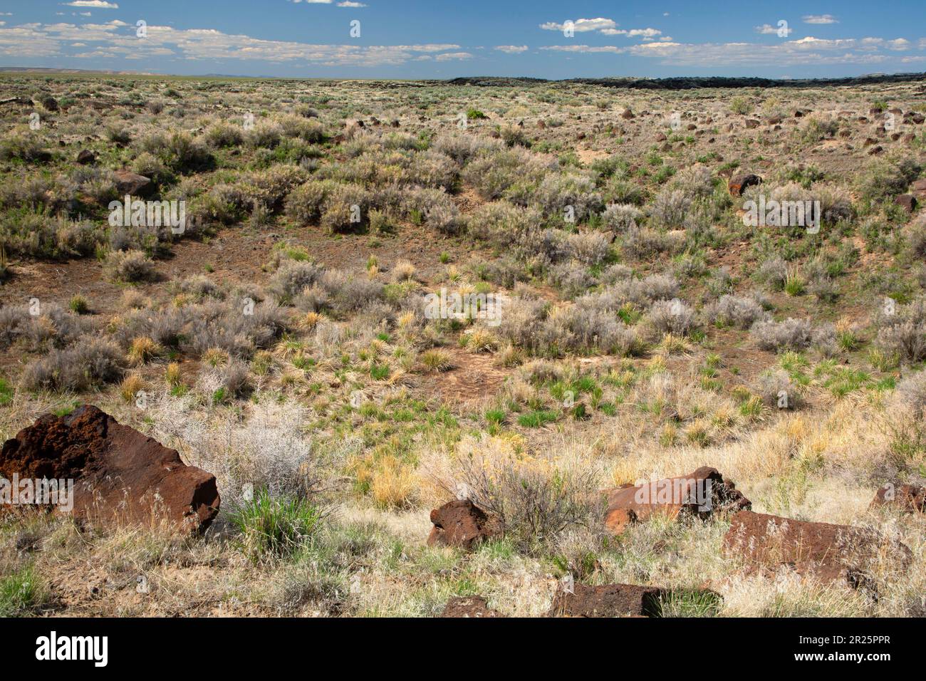 Dry Maar, Diamond Craters Outstanding Natural Area, Diamond Loop National Scenic Byway, Burns District Bureau of Land Management, Oregon Stock Photo