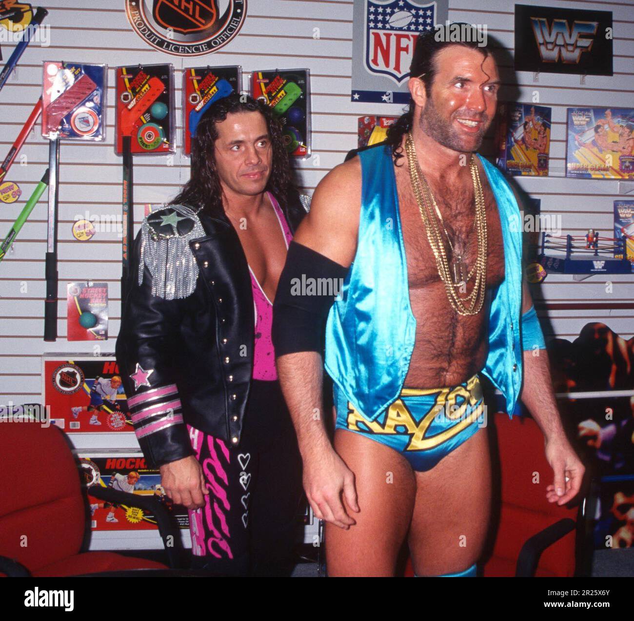 Bret Hart 1993
