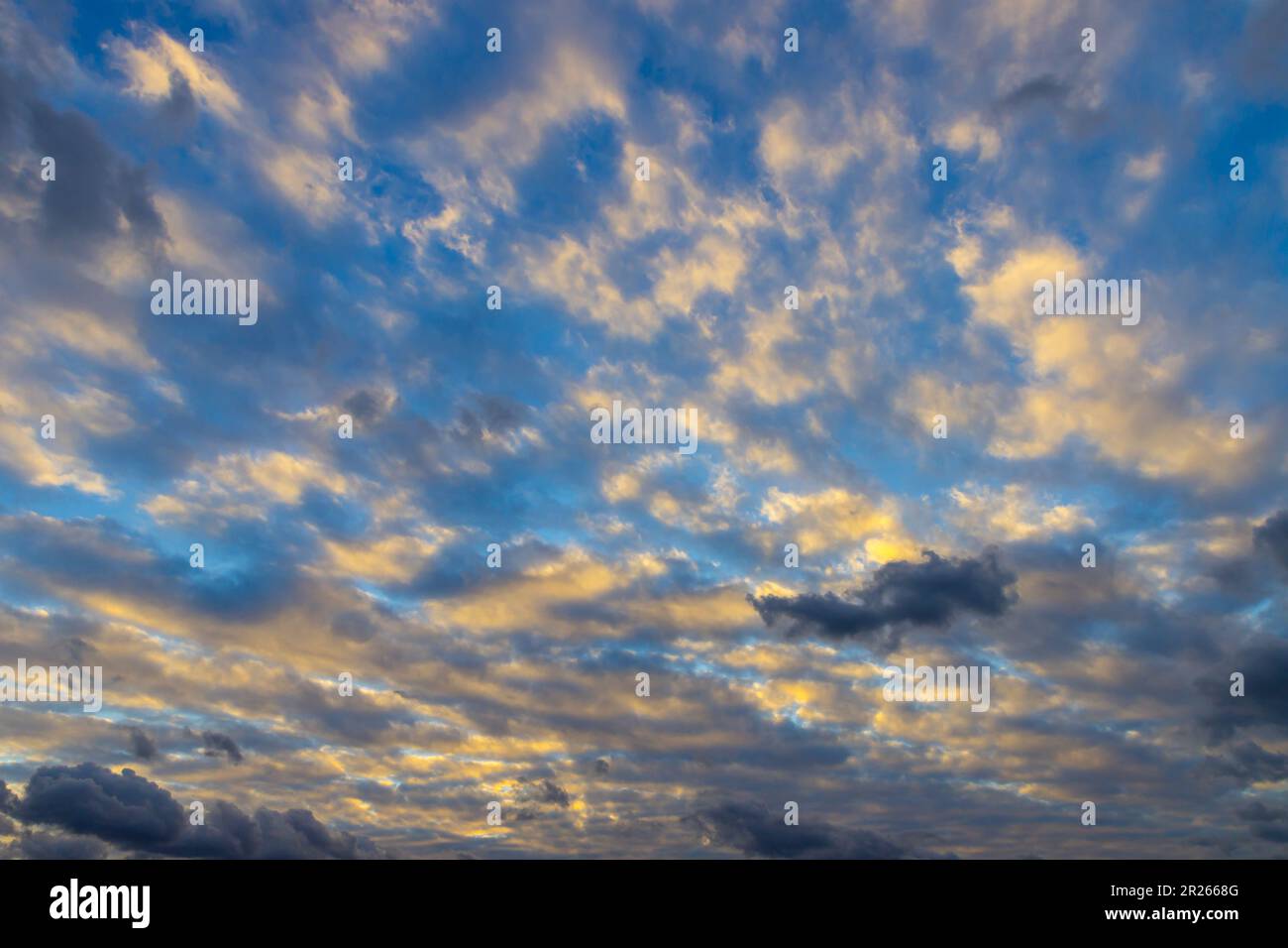 big sheep clouds are illuminated by sun from below - Altocumulus Stock Photo