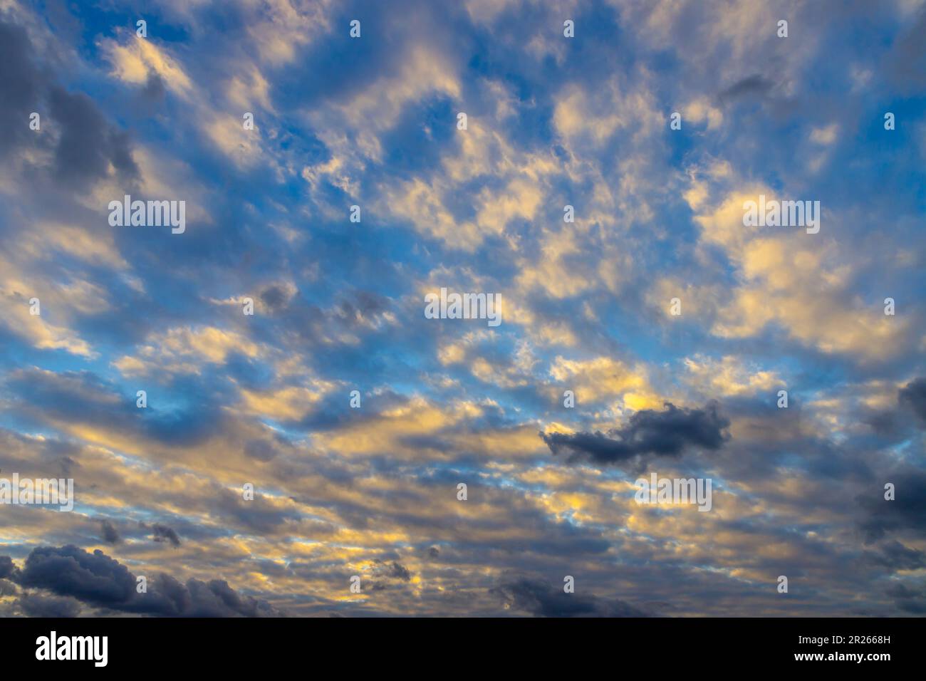 big sheep clouds are illuminated by sun from below - Altocumulus Stock Photo