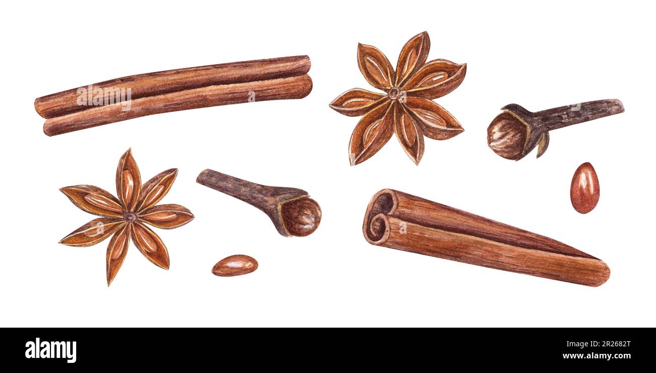 Watercolor set of cinnamons, star anise and cloves isolated on white