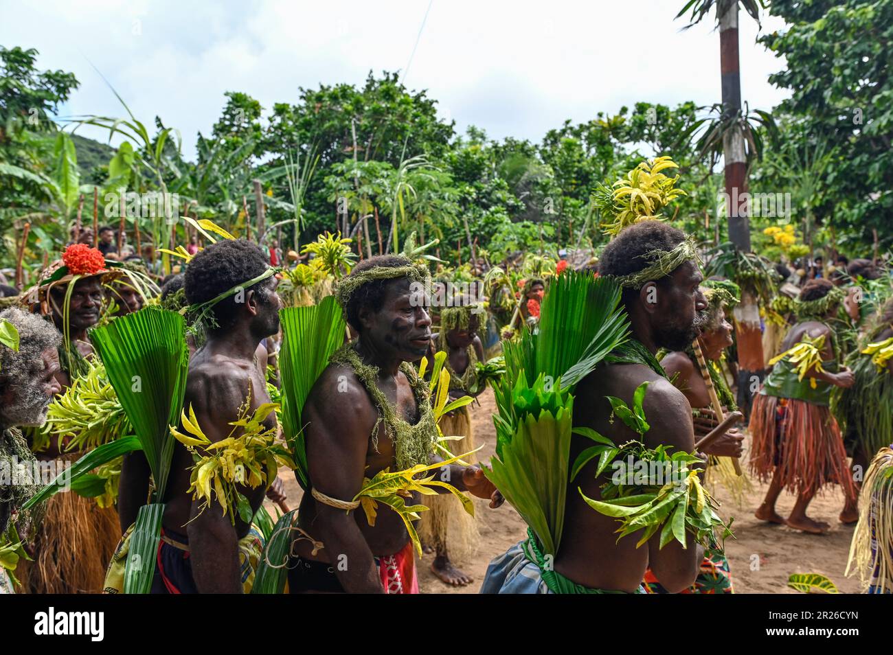 The traditional dances of the indigenous people on Utupua Island in the Solomon Islands are rich in cultural significance and often accompanied by music and rhythmic movements. The welcome Dance is performed to welcome guests or visitors to the community. It typically features vibrant costumes, joyful movements, and expressions of hospitality and warmth. Others include the War Dance, the Bamboo Dance or the Harvest Dance. Stock Photo