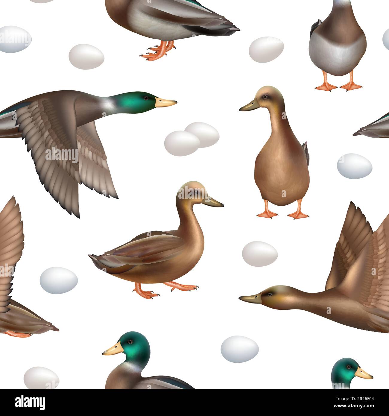 Ducks pattern. Seamless background with wild flying ducks decent vector realistic template Stock Vector