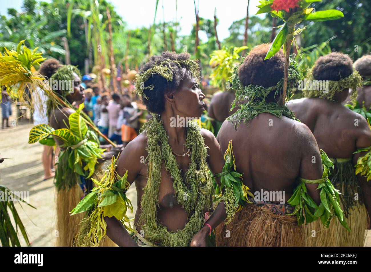 Traditionally costumed dancers perform on Nggela Island, Solomon