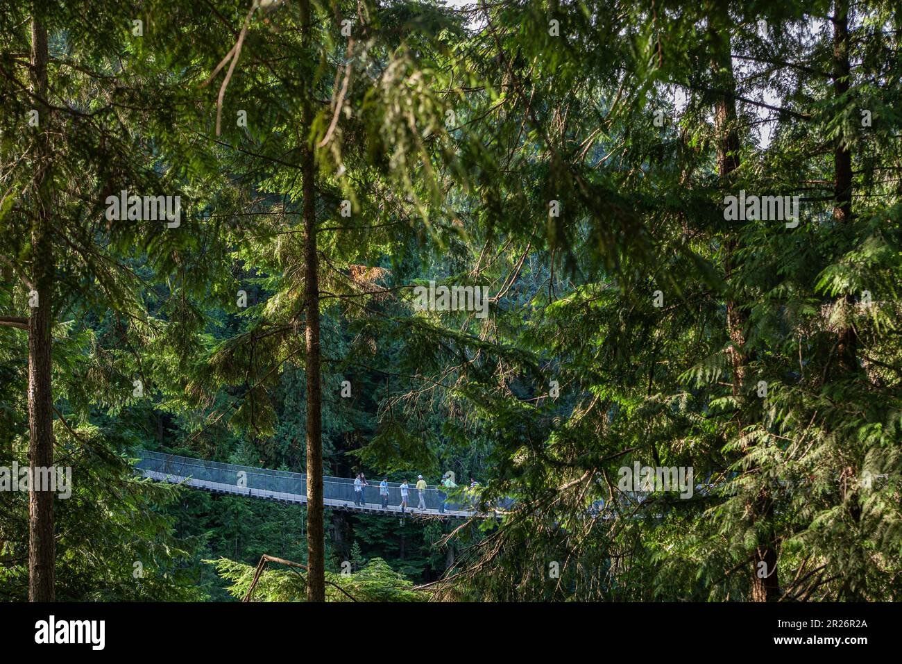 Capilano Bridge, a structure spanning the Capilano River, in the North