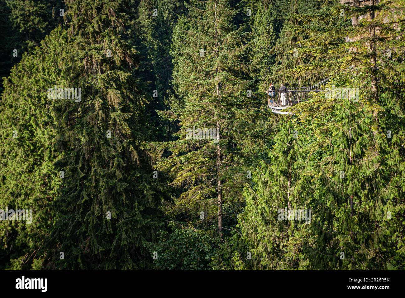 Capilano Bridge, a structure spanning the Capilano River, in the North
