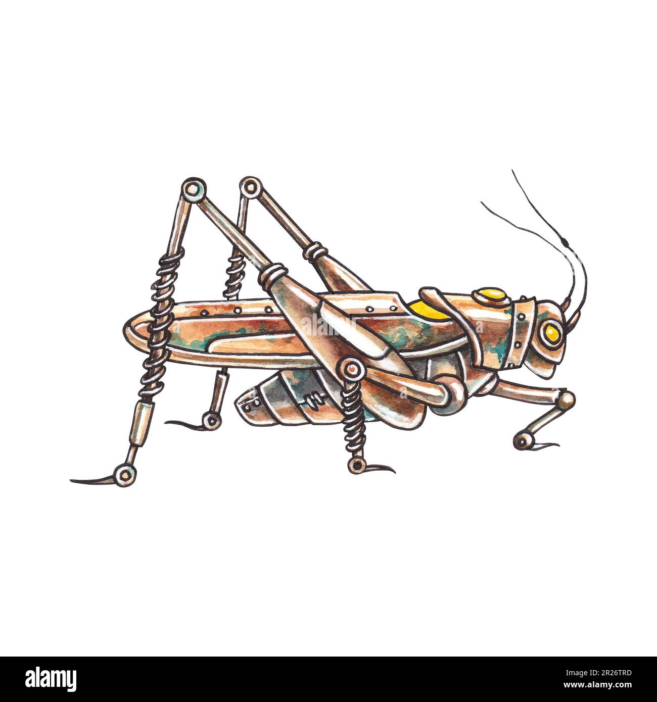 Steampunk grasshopper isolated on white background. Mechanical bronze ...
