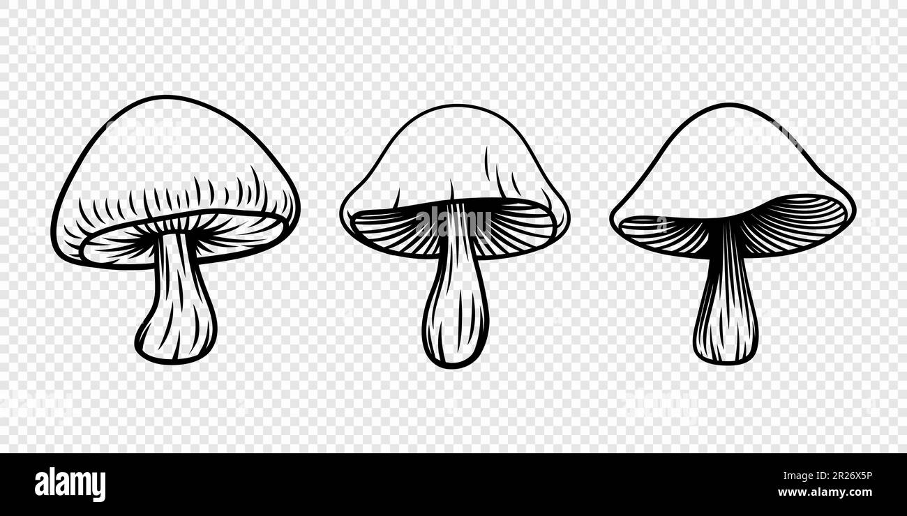 Vector Hand Drawn Cartoon Mushroom with Outline Icon Set Isolated. Mushroom Illustration, Mushrooms Collection. Magic Mushroom Symbol, Design Template Stock Vector