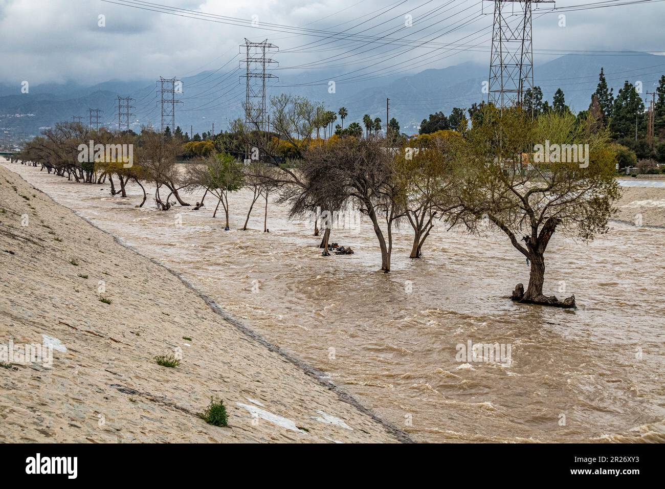 Los Angeles River after a major storm that washed away large areas of vegetation, trees, and homeless encampments. Glendale Narrows, Los Angeles, California Stock Photo