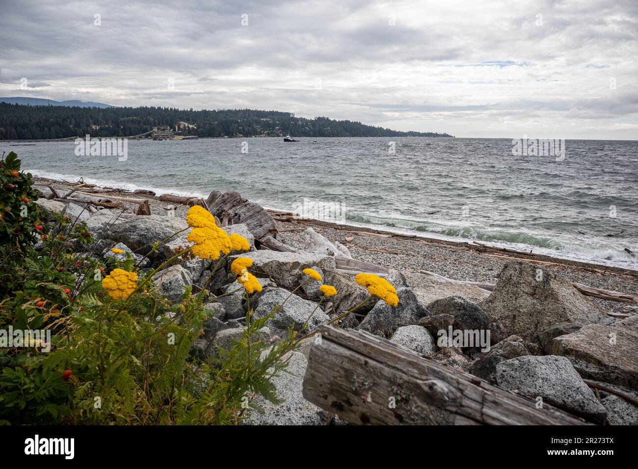 Sechelt, Sunshine Coast, British Columbia, Canada Stock Photo