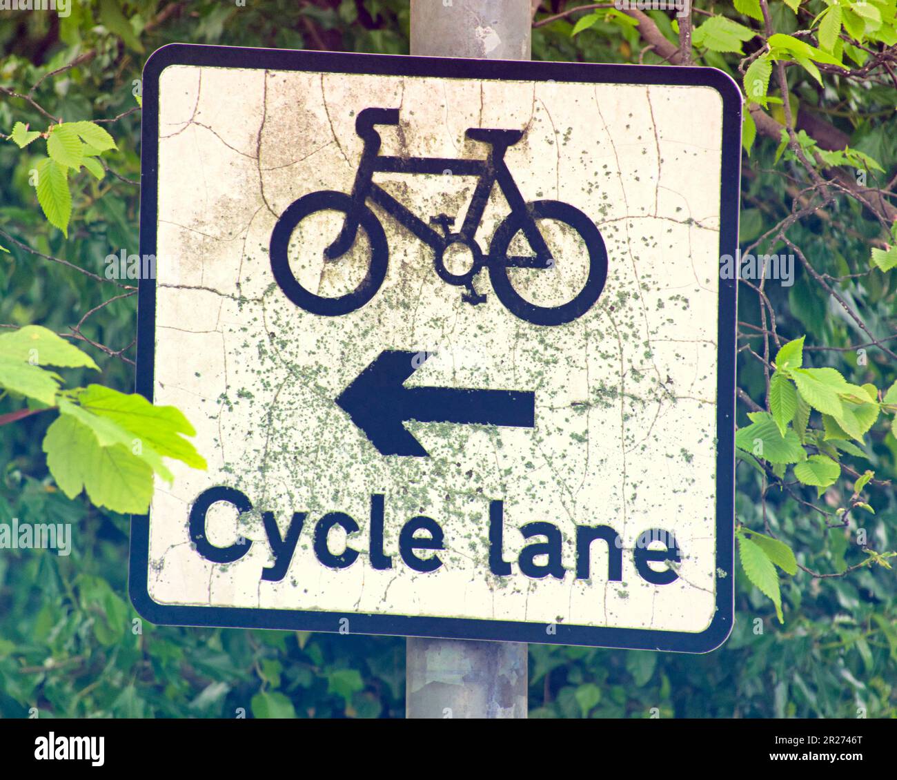 cycle lane sign in trees tree Stock Photo