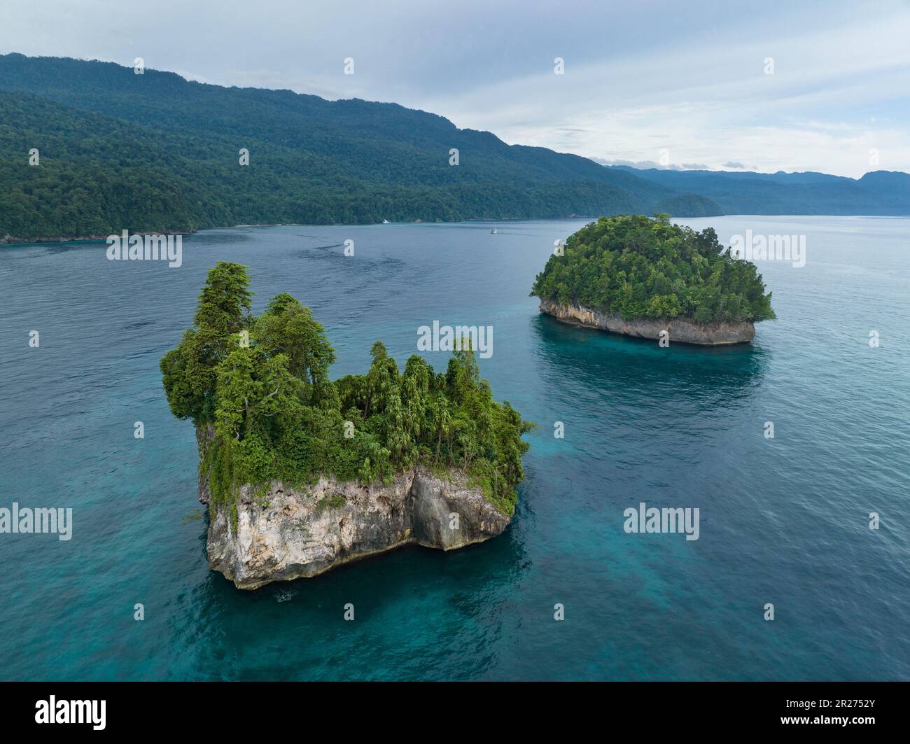 A pair of limestone islands, covered by vegetation, rise from West Papua's seascape. This region of Indonesia is known for its high biodiversity. Stock Photo