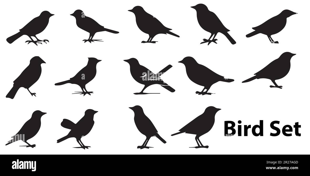 A black and white illustration of a bird set silhouette vector