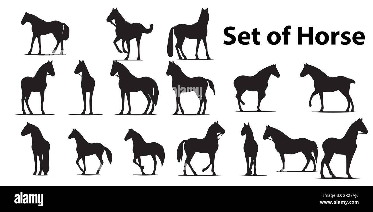 A set of silhouettes of horses and a blackandwhite background Stock