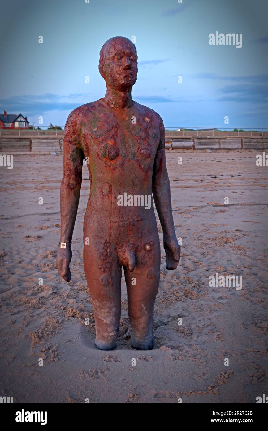 Antony Gormley, Another Place artwork sculpture, cast iron figures, located between Waterloo and Blundellsands, Merseyside, UK, Stock Photo