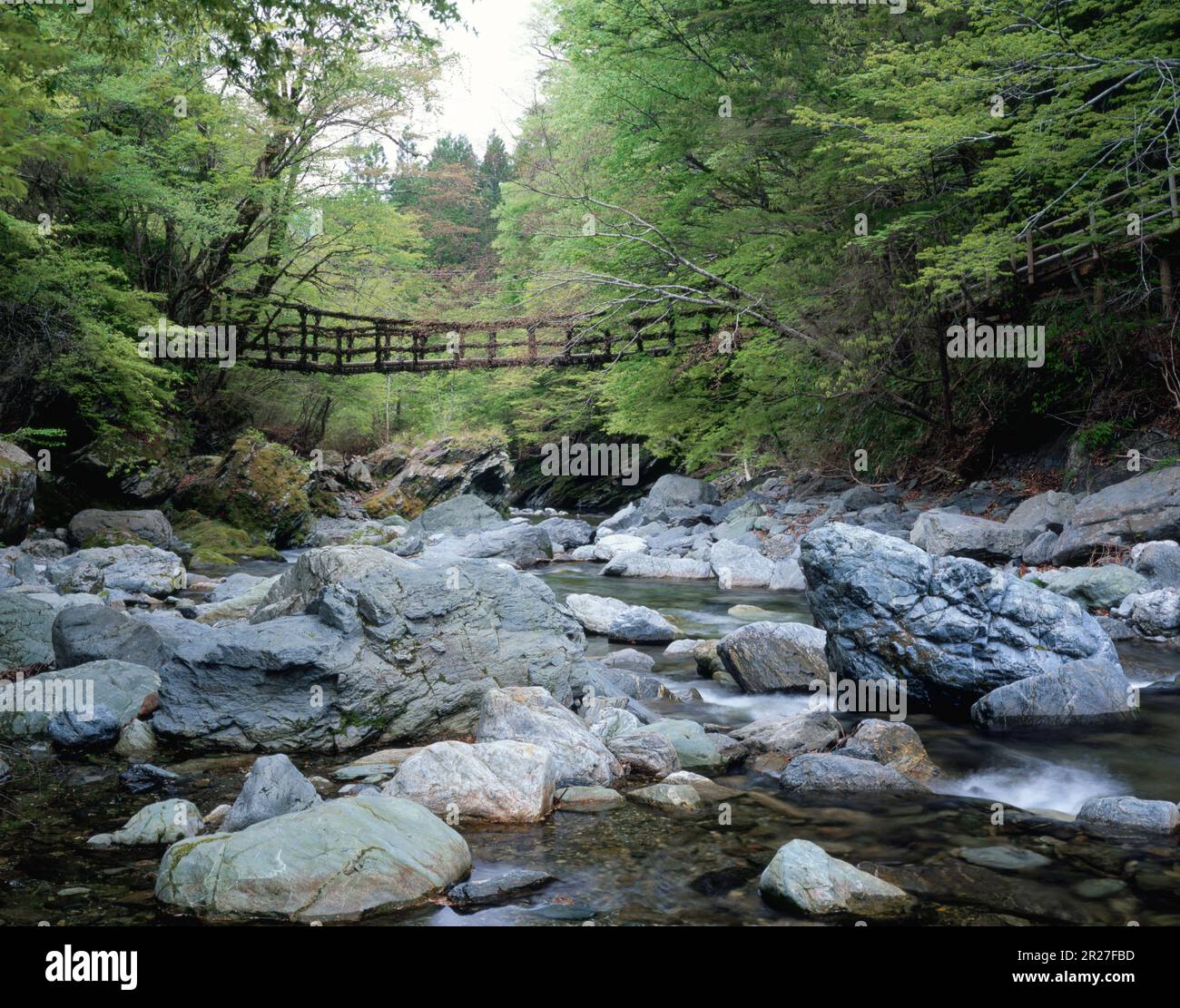 OkuIya double Kazura bridge Stock Photo Alamy