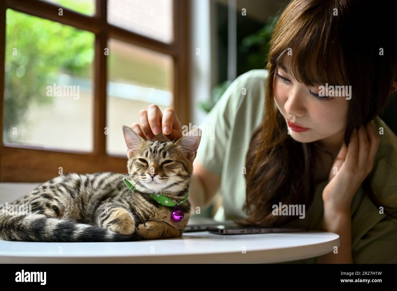 A beautiful young Asian woman petting and playing with her cute ...