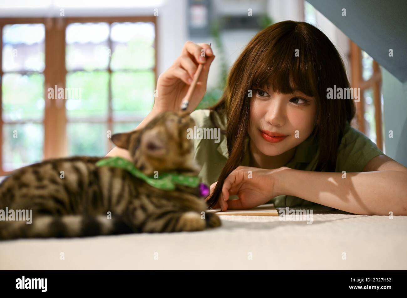 A beautiful young Asian woman resting and playing with her cute tabby ...