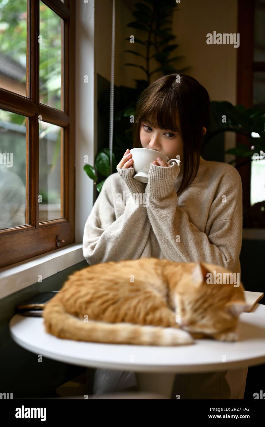 Orange kitten sweater hi res stock photography and images Page 2 Alamy