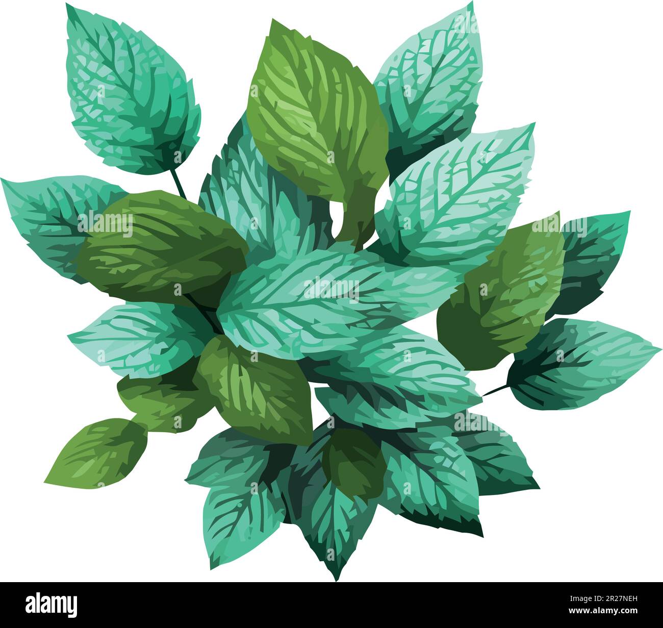 Fresh green leaves on tree branch vector illustration Stock Vector ...