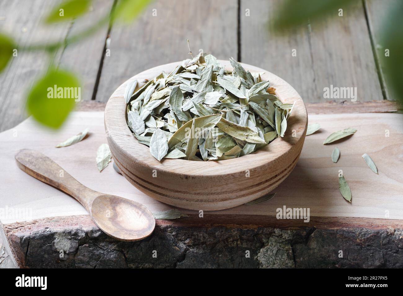 Medication senna dry tea leaf stock photo alamy