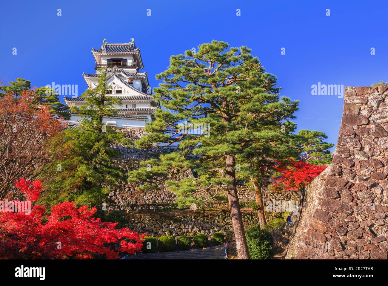 Fall colors and Kochi Castle Stock Photo - Alamy