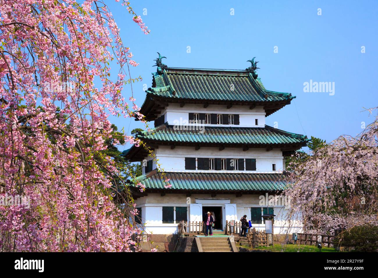 Weeping cherry blossoms and Hirosaki Castle Stock Photo