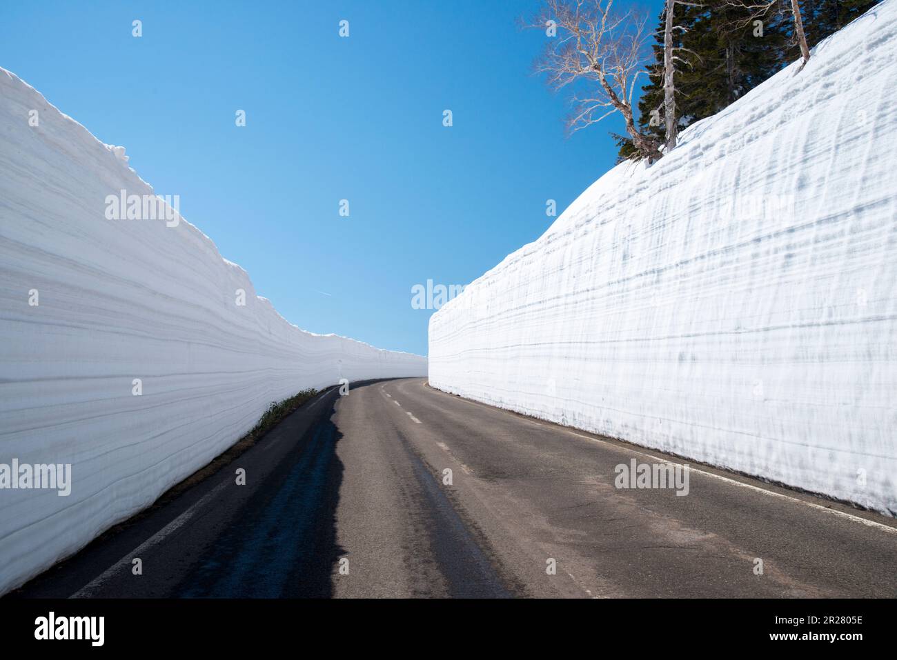 Mount Hachimantai Aspiteline snowy circuit Stock Photo