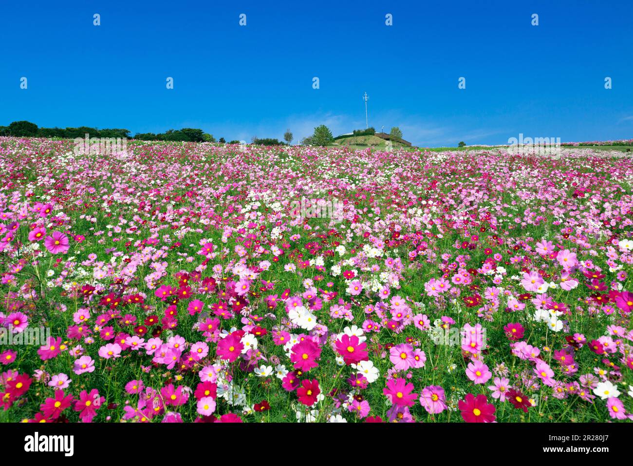 Awaji flower balcony hi-res stock photography and images - Alamy