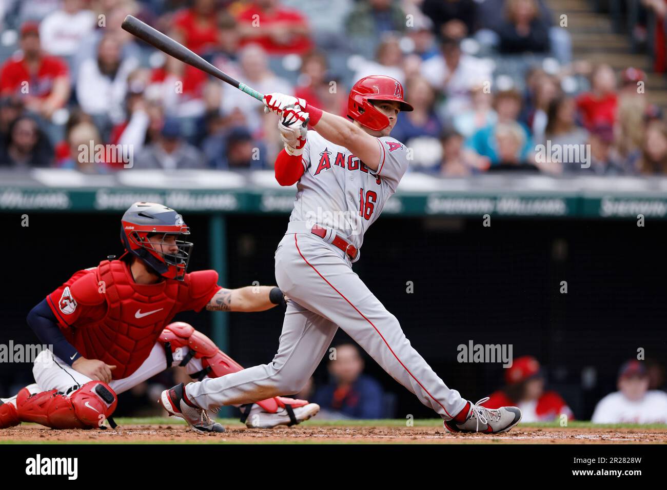 CLEVELAND, OH - MAY 13: Los Angeles Angels left fielder Mickey Moniak (16)  bats during an MLB game against the Cleveland Guardians on May 13, 2023 at  Progressive Field in Cleveland, Ohio. (